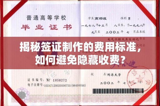 盐池揭秘签证制作的费用标准，如何避免隐藏收费？